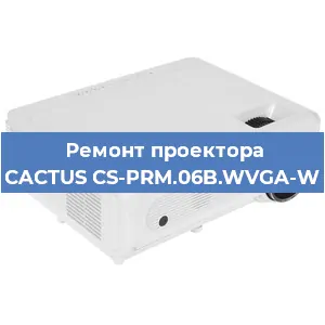 Замена лампы на проекторе CACTUS CS-PRM.06B.WVGA-W в Волгограде